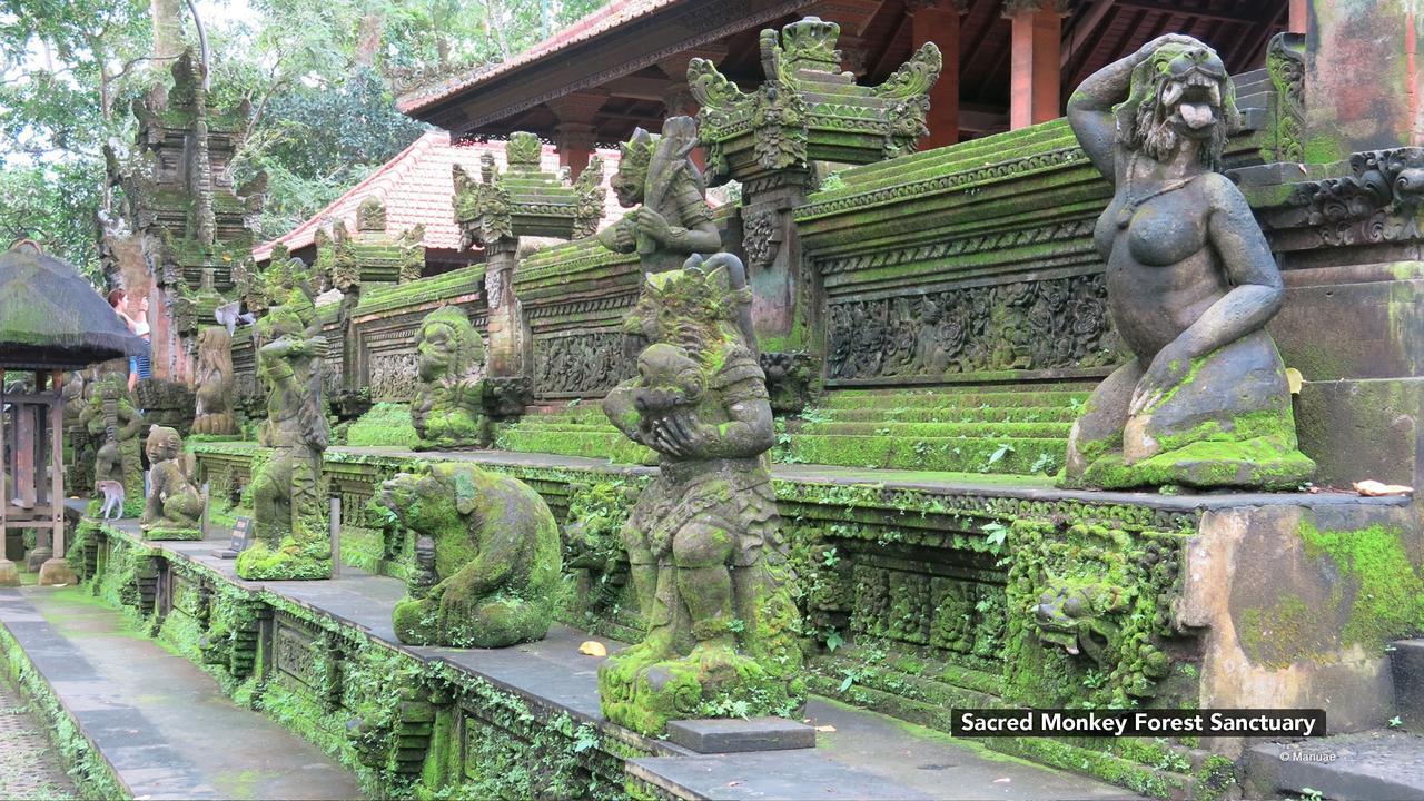 Zen Premium Nyuh Bojog Ubud Exteriör bild