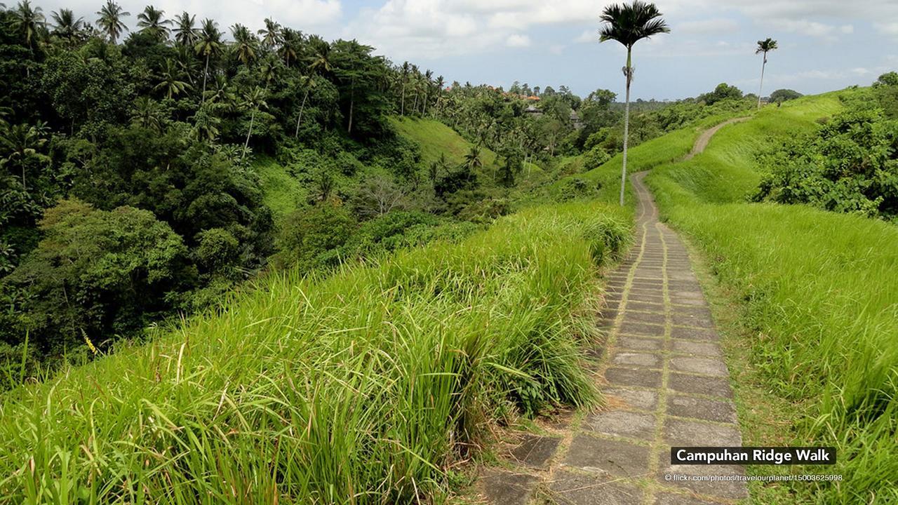 Zen Premium Nyuh Bojog Ubud Exteriör bild